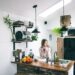 How To Remodel Your Kitchen: The Complete Guide