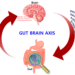 Gut Disorders Linked to Alzheimer’s Disease: Why You Should Be Concerned